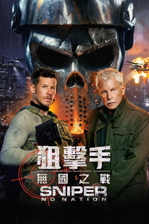 狙击精英：孤魂野鬼电影海报