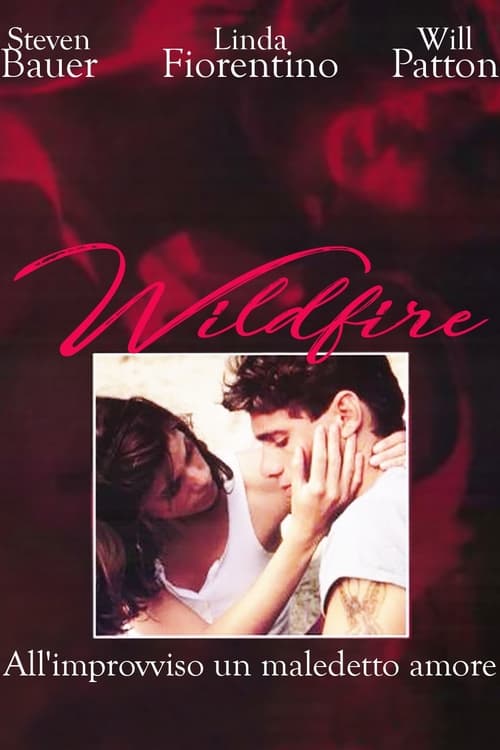 Wildfire+-+All%27improvviso+un+maledetto+amore