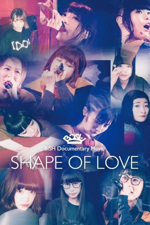 Shape of Love poster 2