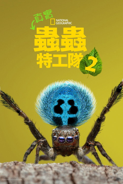 第 2 季
