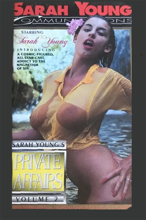 Private Affairs 2 poster 2