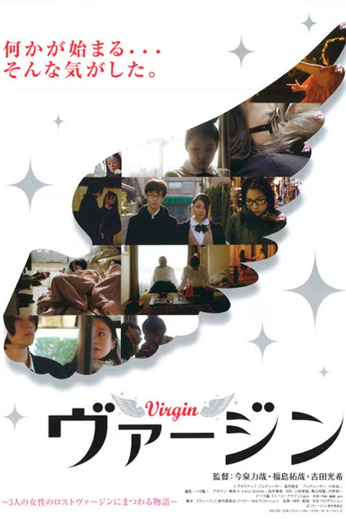 Virgin poster 3