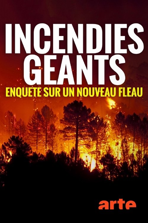 Incendies géants : enquête sur un nouveau fléau (2020) Ver Pelicula Completa Streaming Online