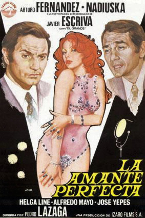 The Perfect Lover poster 2