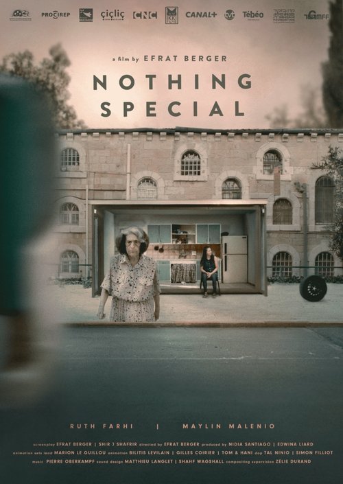 Nothing Special Poster