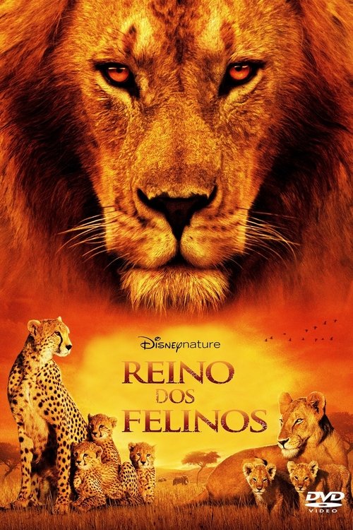 Assistir Reino dos Felinos (2011) filme completo dublado online em Portuguese