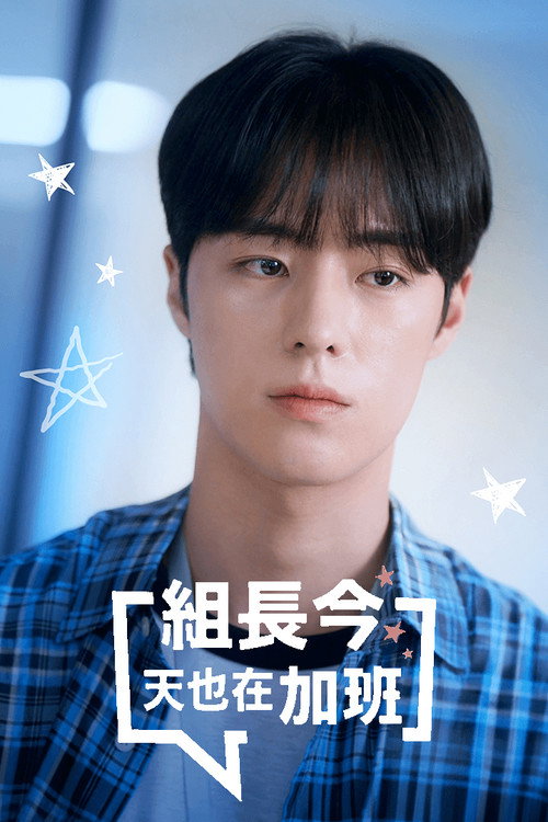 组长今天也在加班电影海报