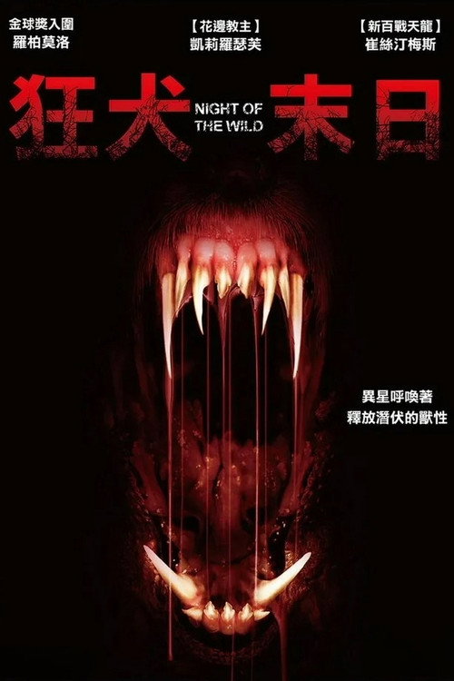 野性之夜电影海报