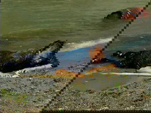 Leyla ile Mecnun - Ramadan is Coming