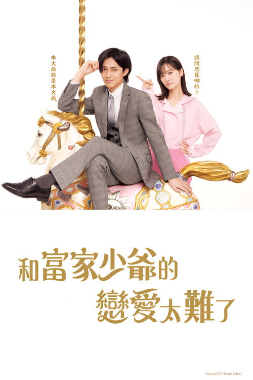恋上少爷太难了电影海报