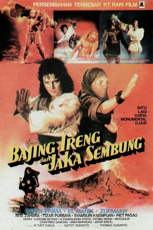 Background poster of Jaka Sembung & Bergola Ijo blurred