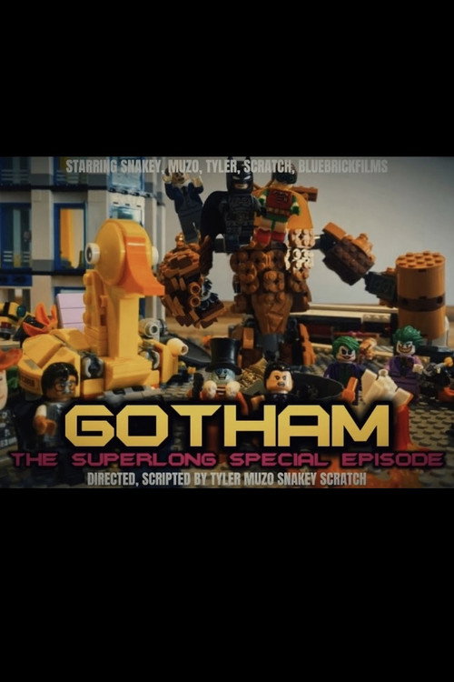 The Gotham Movie : A Tale Of Two Bats电影海报