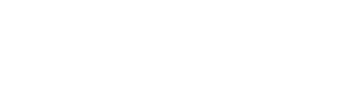 ACE VENTURA: PET DETECTIVE Logo