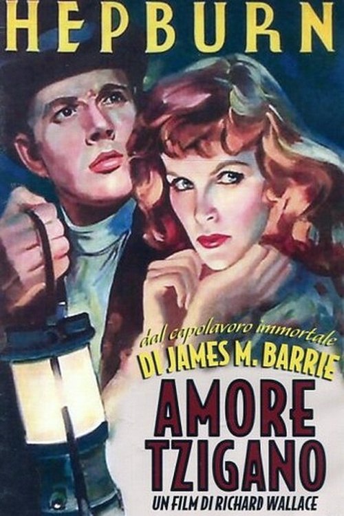 Amore+tzigano