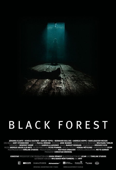 Black Forest 2010
