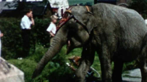 images