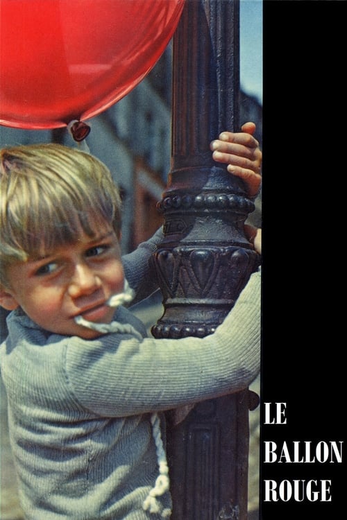 Assistir ! O Balão Vermelho 1956 Filme Completo Dublado Online Gratis