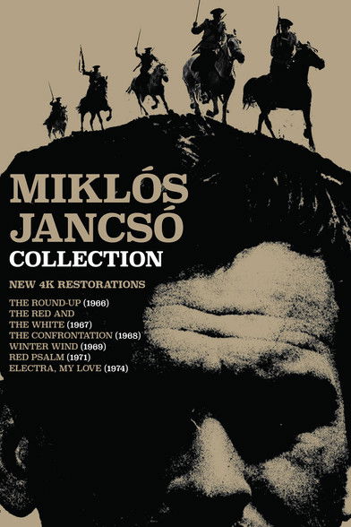 Harvest in Orosháza