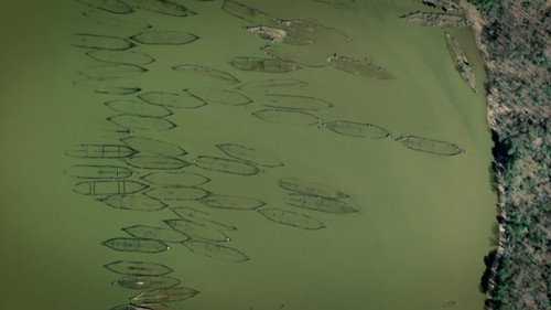 Ghost Fleet of Cannibal Bay