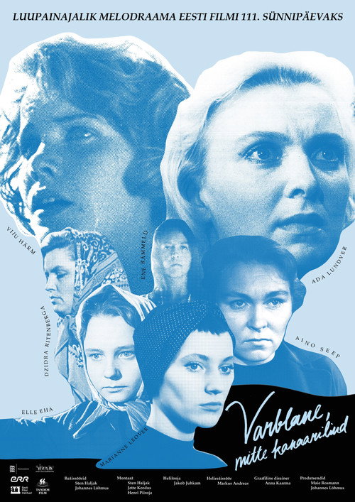 Madwomen: to be a sparrow not a canary poster 3