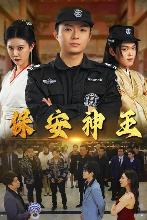 保安神王电影海报
