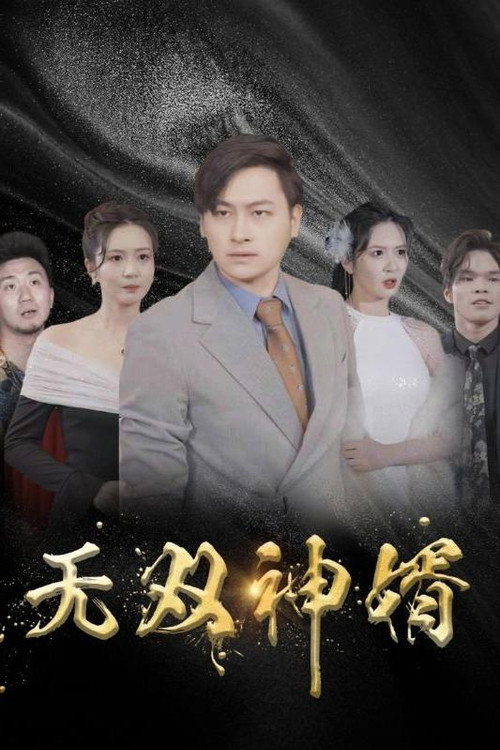 无双神婿电影海报