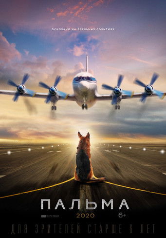 A Dog Named Palm (2020) Watch Full Movie Streaming Online