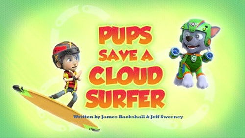 Pups Save a Cloud Surfer