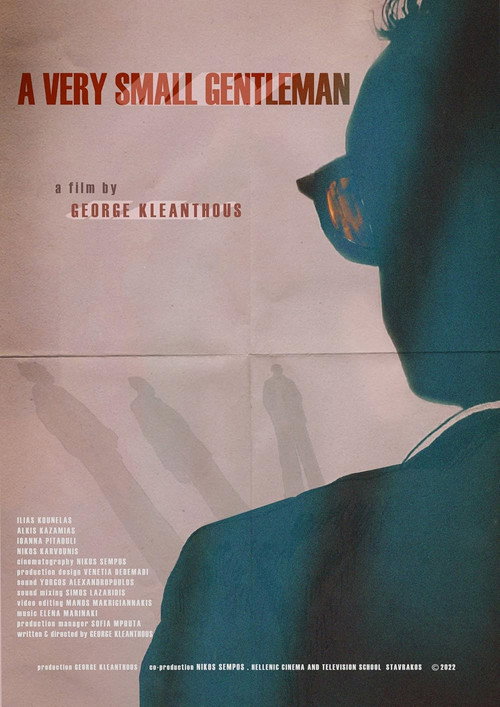 Ο γιος μου ο Στέφανος poster 2
