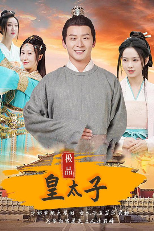 极品皇太子电影海报