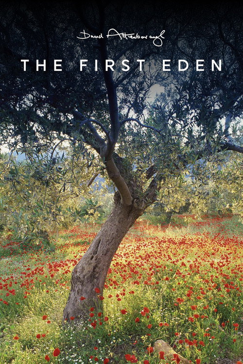 The First Eden poster 4