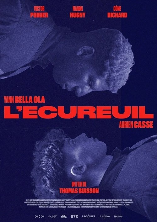 The Squirrel Poster