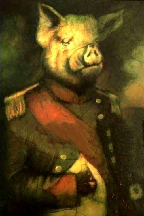 Animal Farm电影海报
