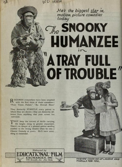 A Tray Full of Trouble Poster