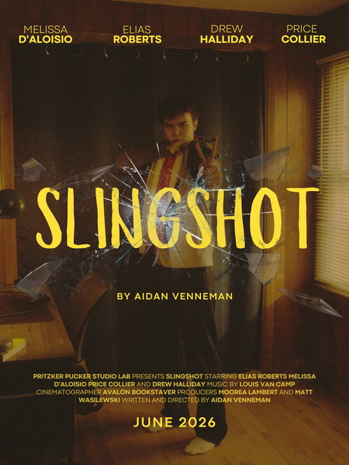 Slingshot电影海报