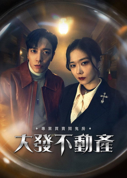 大发不动产电影海报