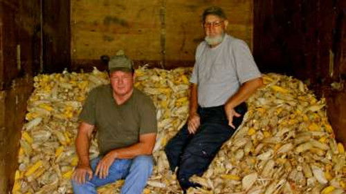 A Shiner in Kentucky