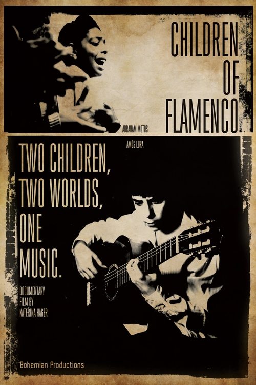 Děti flamenka poster