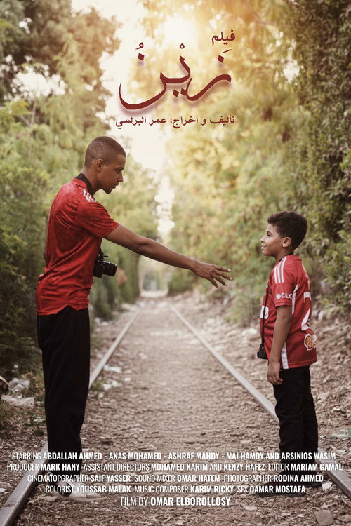 Zein poster 2