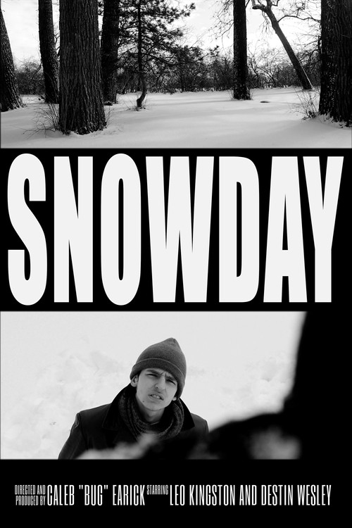 Snow day电影海报