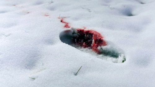Footprints in the Snow