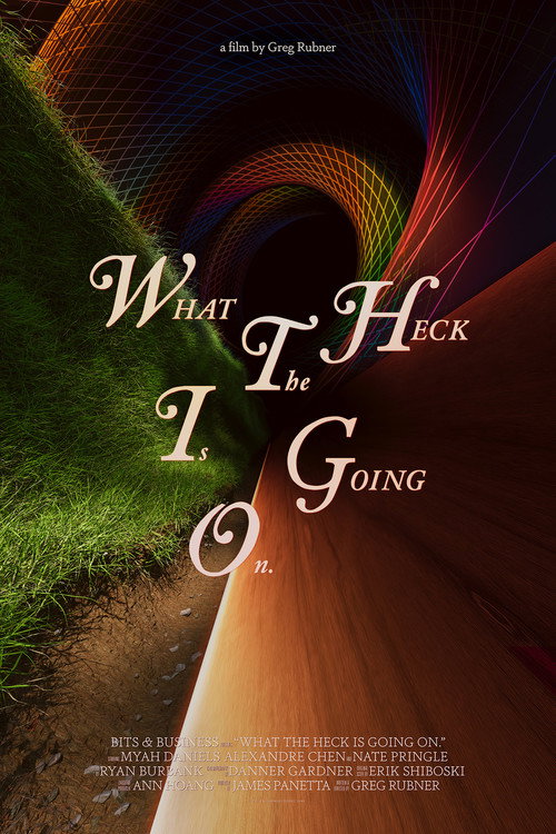 What the Heck Is Going On. poster 2