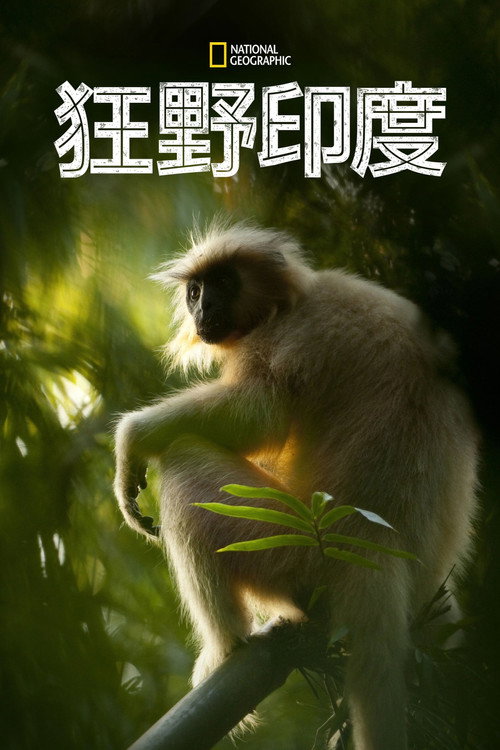 国家地理：狂野印度海报