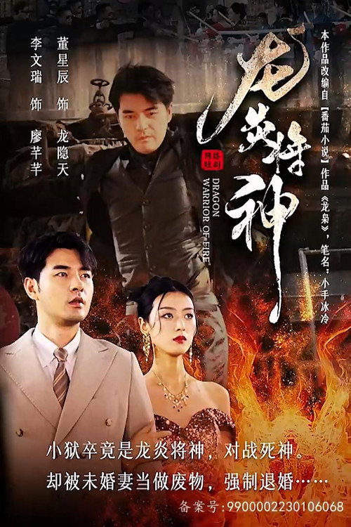 龙炎将神电影海报