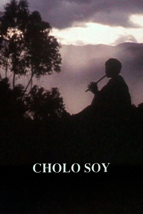 Cholo Soy's poster