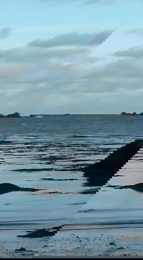 La Terre