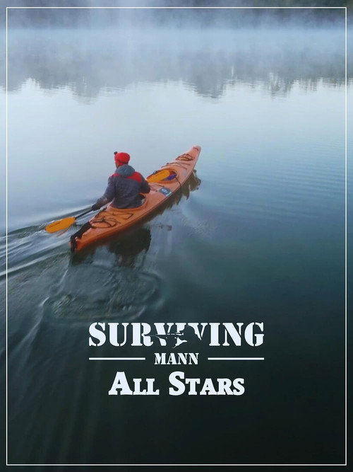 Surviving Mann: All-Stars电影海报