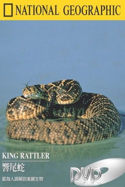 King Rattler电影海报