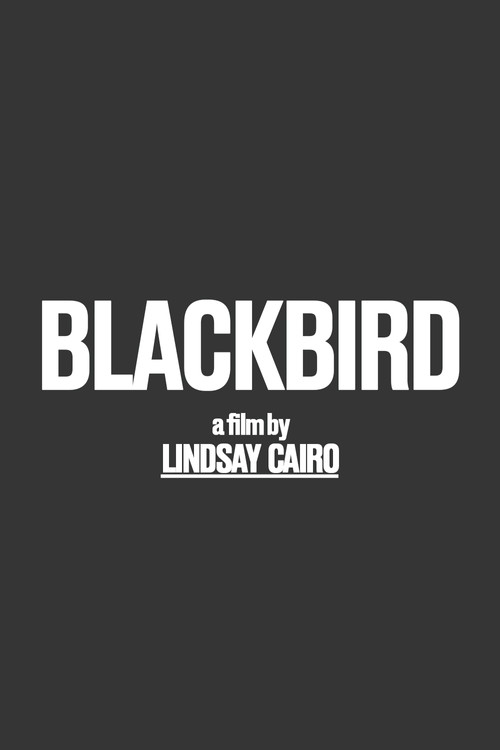 Blackbird's poster