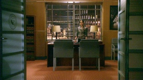 The Good Wife - 8. Bölüm